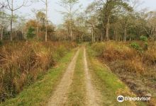 Orang National Park景点图片