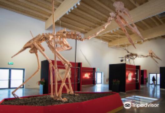 Dinosaurier Museum Altmuhltal景点图片
