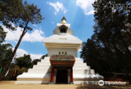 La Gran Stupa Bon para la Paz Mundial景点图片
