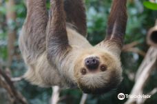 罗杰威廉斯公园动物园-普罗维登斯