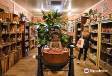 CHOCOLATS HAUTOT - Musee decouverte景点图片