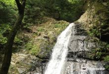 Seirei no Taki Waterfall景点图片