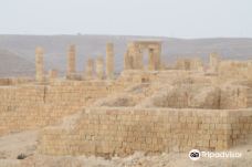 Nabatean Avdat Acropolis-米茨佩·拉蒙