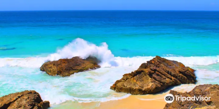 Burgess Beach,  Forster