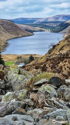 Duns Castle Nature Reserve-邓斯