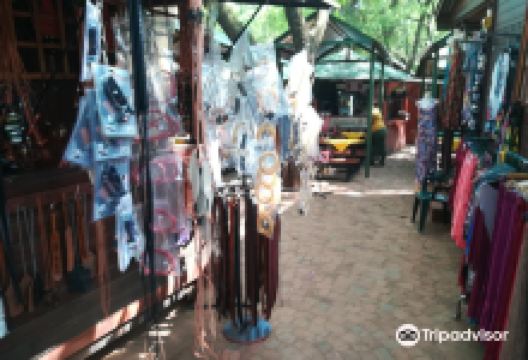 Welwitschia Country Market购物图片