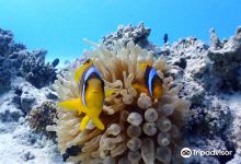 Sundlex Diving Centre购物图片