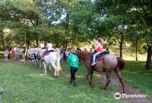 Granja La Cuesta景点图片