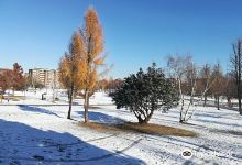 Parco Porporati景点图片