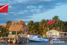 White Sands Dive Shop购物图片