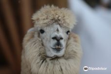 Hutsul Land Bukovel-波利亚尼齐亚