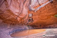 Golden Cathedral景点图片