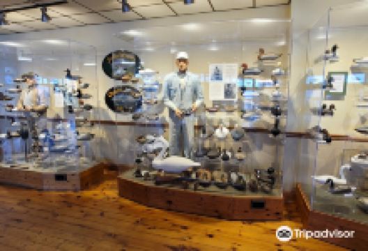 Havre de Grace Decoy Museum景点图片