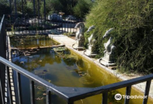 Dragons Rest Habitat Garden景点图片