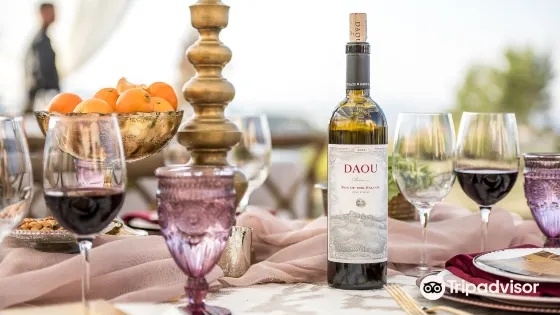 DAOU Vineyards