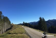 Tegernsee Bike购物图片