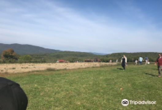 Wellwood Orchards景点图片