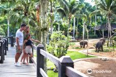 巴厘岛大象公园-巴厘岛