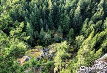 Oyster Dome Trail景点图片