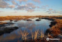 Nationalpark Thy, visitor centre Stenbjerg Landingsplads景点图片