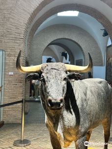 Bull Fighting Museum-Huerta de Murcia