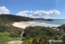 Fora Beach景点图片