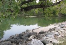 Miller Spring Park景点图片