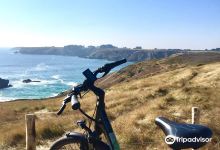 Roue Libre购物图片