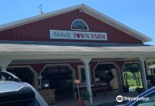 Melick's Town Farm - Oldwick Cider Mill & Orchard景点图片