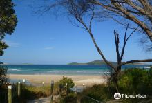 Fingal Bay Beach景点图片