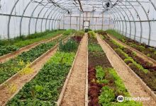 Cochrane Family Farm景点图片