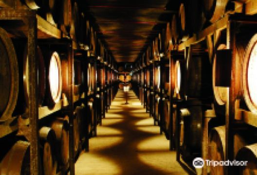 Quinta da Aveleda景点图片