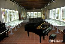 Museo Ruggiero Leoncavallo景点图片