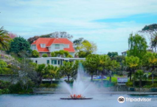 Virginia Lake景点图片