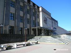 The National Museum of Altai Republic-戈尔诺－阿尔泰斯克