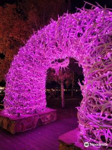 杰克逊鹿角公园-杰克逊