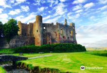 Castell Talacharn / Laugharne Castle景点图片