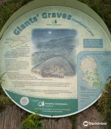 Giants' Graves-阿伦岛