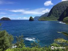 卡劳帕帕国家历史公园-卡拉瓦奥县