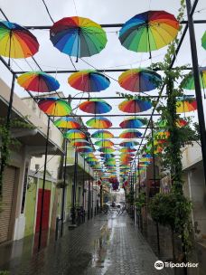 Umbrella Street-普拉塔港