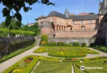 Palais de la Berbie景点图片