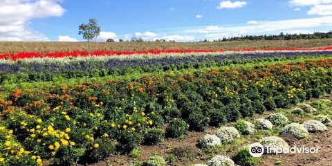 富良野果醬園共濟農場