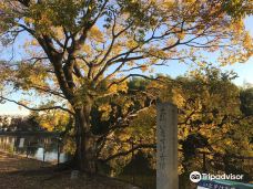 Itasuke Burial Mound-堺市