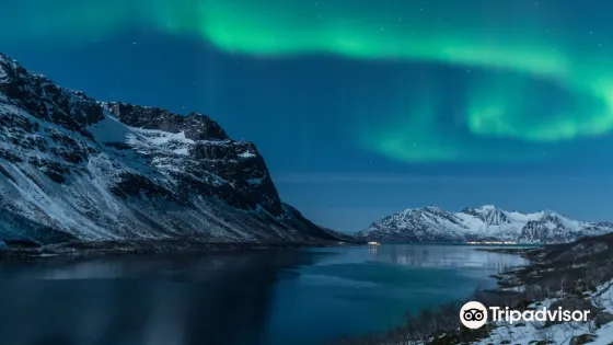 Grotfjord