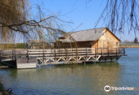 Water Mill in Rackevei / Rackevei Hajomalom景点图片