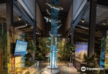 Bruce County Museum & Cultural Centre景点图片