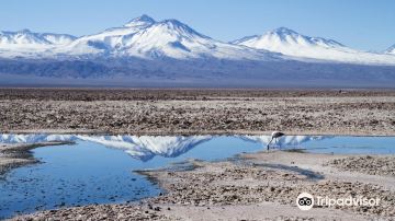 Salar de Atacama