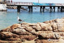 Caleta el Quisco景点图片