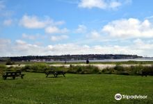 Sandwich and Pegwell Bay National Nature Reserve景点图片