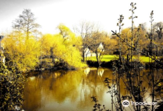 Bradford-on-Avon Wharf景点图片